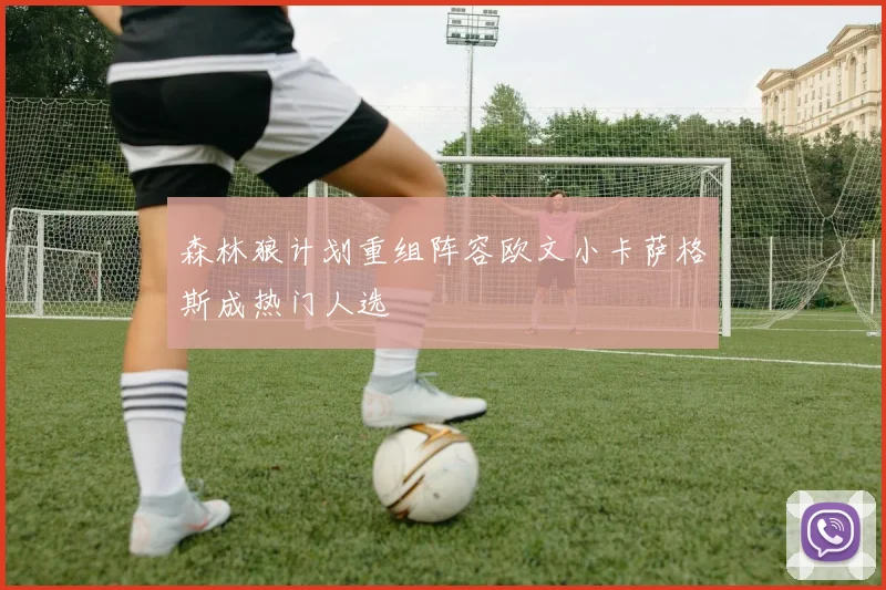森林狼计划重组阵容欧文小卡萨格斯成热门人选